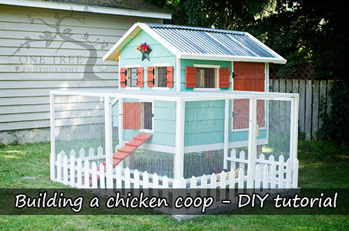 Building a chicken coop – DIY tutorial