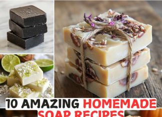 10 Amazing Homemade Soap Recipes 10 Amazing Homemade Soap Recipes