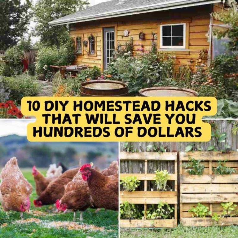 10 DIY Homestead Hacks That Will Save You Hundreds of Dollars