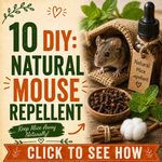 10 DIY Natural Mouse Repellents: Keep Your Home Rodent-Free Naturally