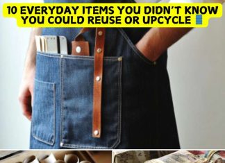 10 Everyday Items You Didn’t Know You Could Reuse or Upcycle 10 Everyday Items You Didn’t Know You Could Reuse or Upcycle