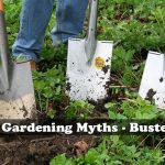 10 Gardening Myths - Busted!