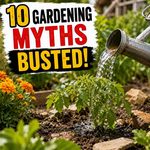 10 Gardening Myths - Busted!