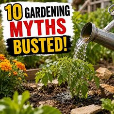 10 Gardening Myths – Busted! 10 Gardening Myths - Busted!