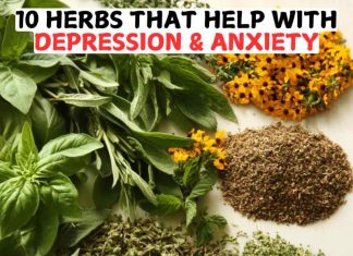 Herbs That Help With Depression & Anxiety 10 Herbs That Help With Depression & Anxiety