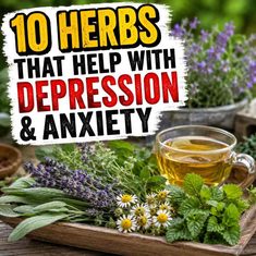 Herbs That Help With Depression & Anxiety 10 Herbs That Help With Depression & Anxiety