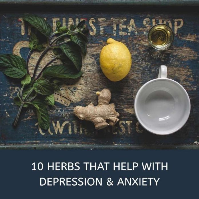 Herbs That Help With Depression & Anxiety