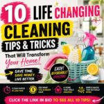10 Life Changing Cleaning Tips & Tricks