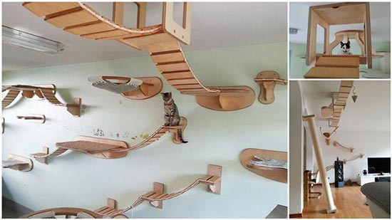 10 Overhead Playgrounds in Your Home for Your Cats!