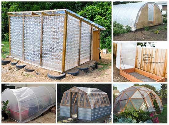 10 Stunning DIY Greenhouses You Can Make