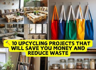 Upcycling projects to save money and reduce waste 10 Upcycling Projects That Will Save You Money and Reduce Waste