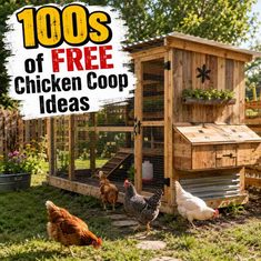 100s of Free Chicken Coop Ideas 100s of Free Chicken Coop Ideas