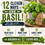12 Clever Ways To Use Basil