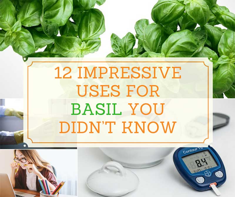 12 Clever Ways To Use Basil