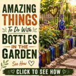 13 Ways To Reuse Wine Bottles In Your Garden