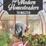 133 Skills For The Modern Homesteader To Master