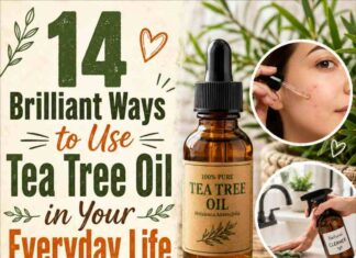 14 Brilliant Ways to Use Tea Tree Oil in Your Everyday Life 14 Brilliant Ways to Use Tea Tree Oil in Your Everyday Life