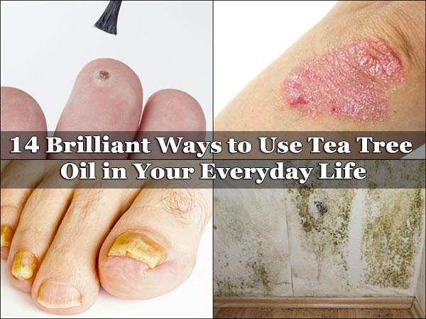 14 Brilliant Ways to Use Tea Tree Oil in Your Everyday Life