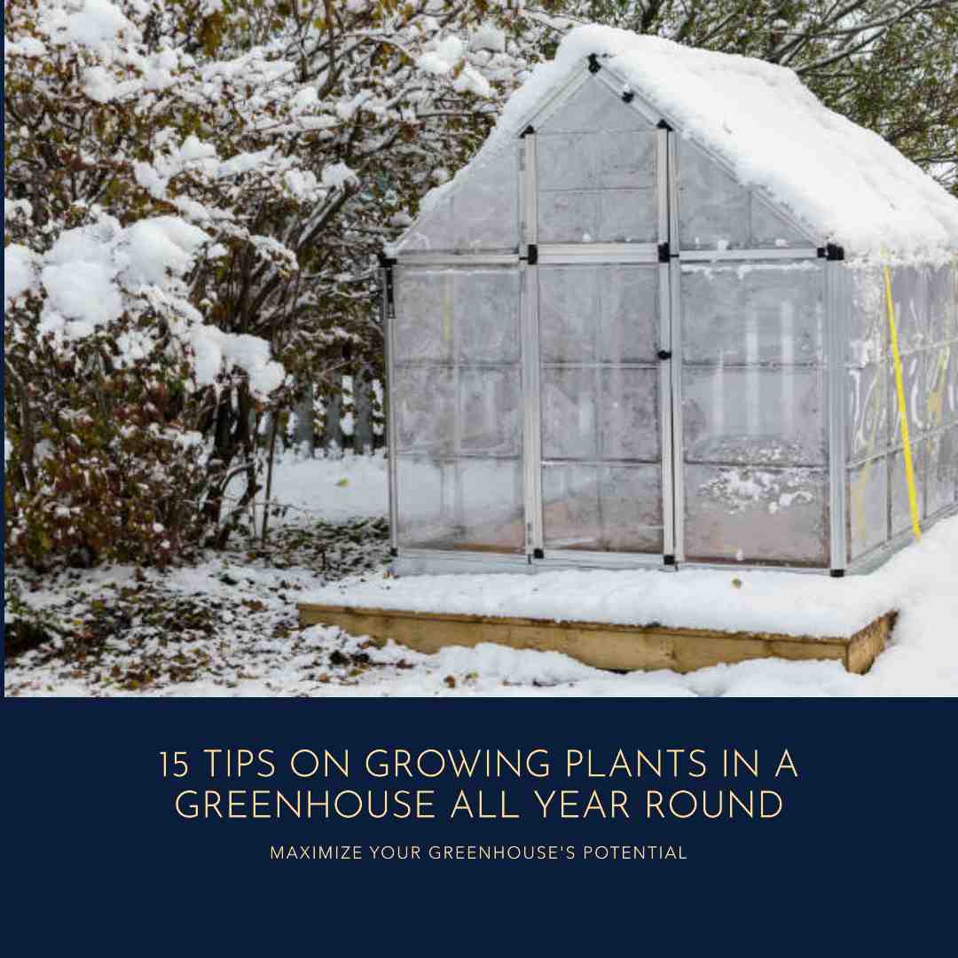 15 Tips On Growing Plants In A Greenhouse All Year Round