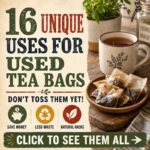 16 Unique Uses for Used Tea Bags
