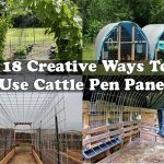 18 Creative Ways To Use Cattle Pen Panels