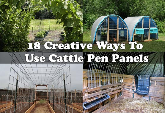 18 Creative Ways To Use Cattle Pen Panels
