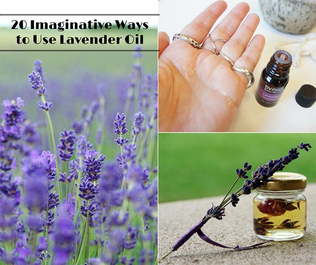 20 Creative Ways to Use Lavender Oil