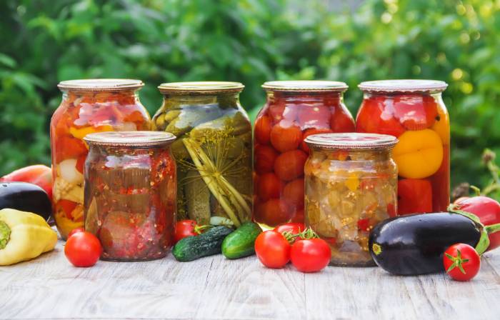 200 Canning and Preserving Recipes