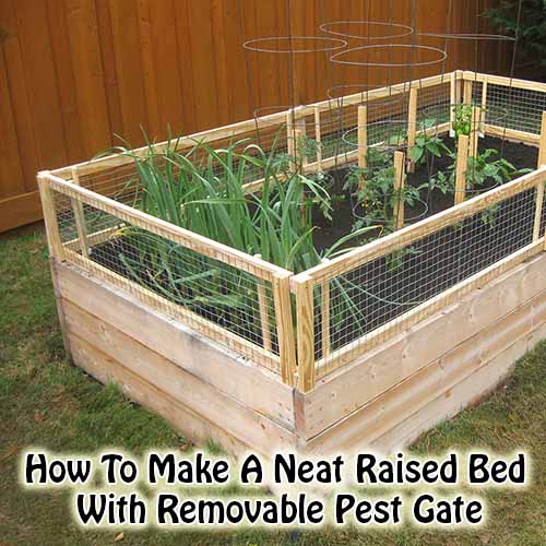 How To Make A Neat Raised Bed With Removable Pest Gate