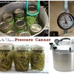 Beginners Guide To Using A Pressure Canner