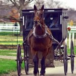 10 Frugal Lessons from the Amish