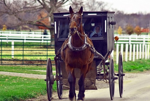 10 Frugal Lessons from the Amish