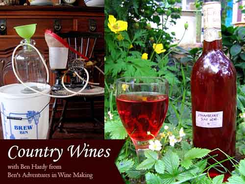 DIY Homesteading - Making Your Own Country Wines