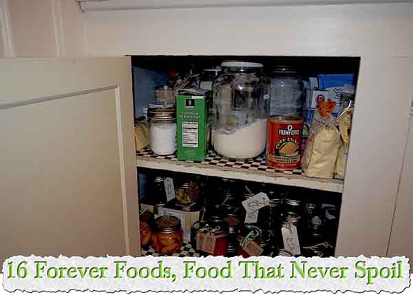 16 Forever Foods, Food That Never Spoil 16 Forever Foods, Food That Never Spoil
