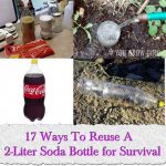 17 Ways To Reuse A 2-Liter Soda Bottle for Survival