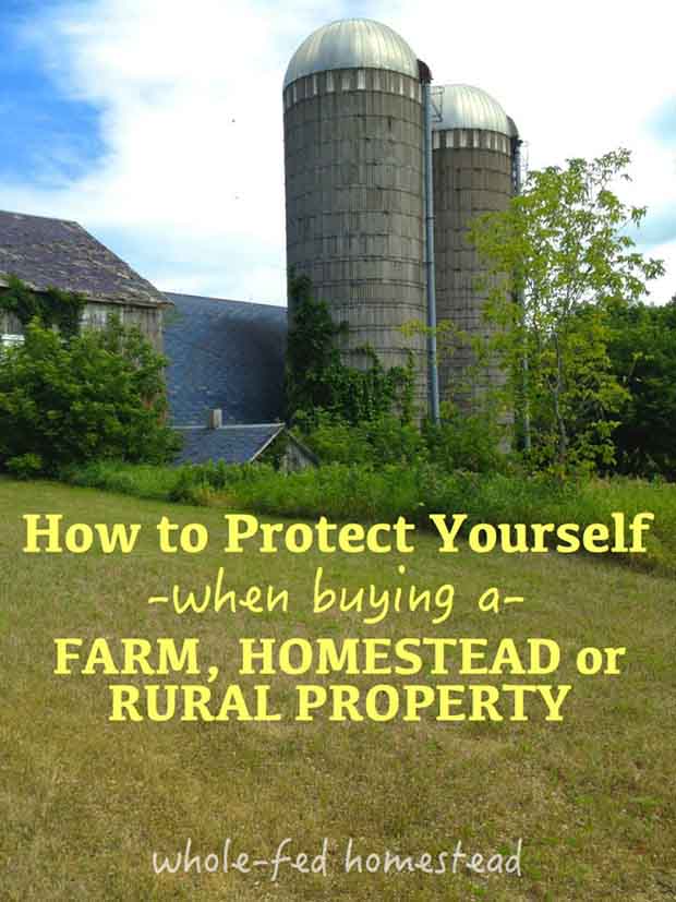 How To Protect Yourself When Buying a Homestead Property How To Protect Yourself When Buying a Homestead Property