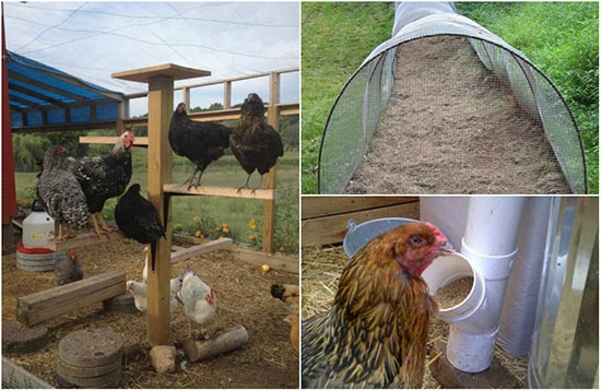 21-chicken-coop-upgrades-that-your-chickens-will-love