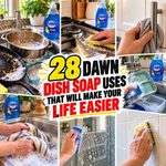 28 Dawn Dish Soap Uses That Will Make Your Life Easier