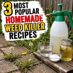 3 Most Popular Homemade Weed Killer Recipes 3 Most Popular Homemade Weed Killer Recipes