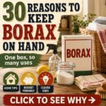30 Reasons Every Home Should Have a Box of Borax on Hand