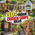 30+ Urban Chicken Coops Ideas