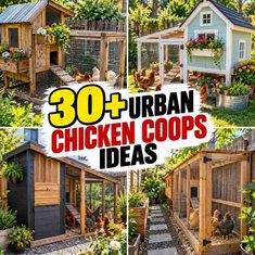 30+ Urban Chicken Coops Ideas 30+ Urban Chicken Coops Ideas