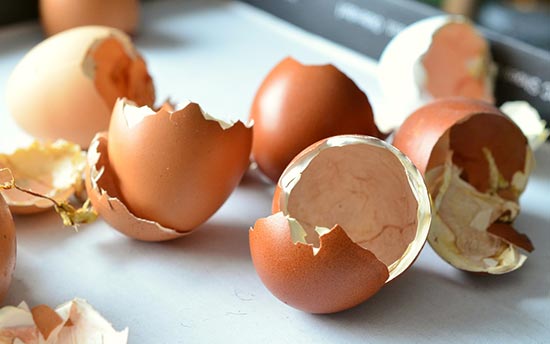 30+ Ways To Reuse Your Eggshells