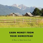 32 Ways to Earn Money from Your Homestead