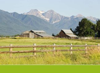 32 Ways to Earn Money from Your Homestead 32 Ways to Earn Money from Your Homestead