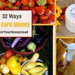 32 Ways to Earn Money from Your Homestead