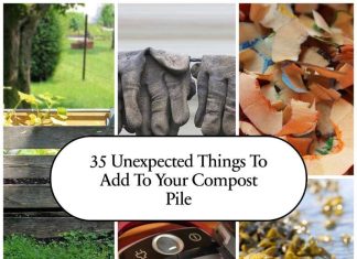 35 Unexpected Things To Add To Your Compost Pile 35 Unexpected Things To Add To Your Compost Pile