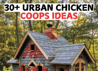 30+ Urban Chicken Coops Ideas 38 Urban Chicken Coops Ideas