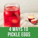 4 Ways To Pickle Eggs