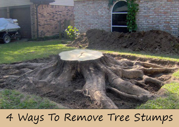 4 Ways To Remove Tree Stumps